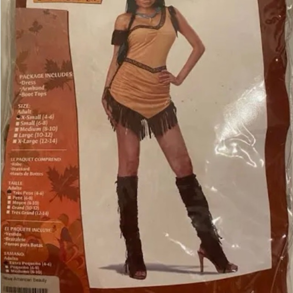 California Costumes Native American Beauty Halloween costume